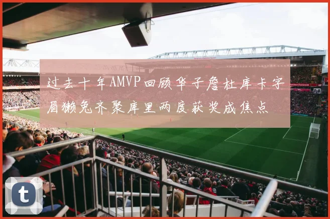 过去十年AMVP回顾华子詹杜库卡字眉獭兔齐聚库里两度获奖成焦点